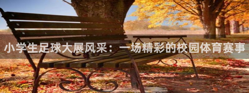 小学生足球大展风采：一场精彩的校园体育赛事