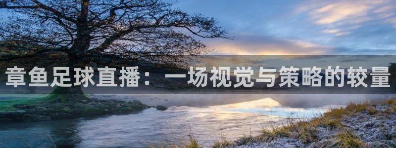  章鱼足球直播：一场视觉与策略的较量