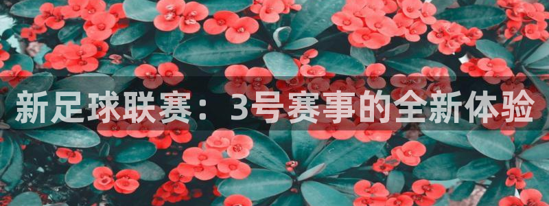 新足球联赛：3号赛事的全新体验