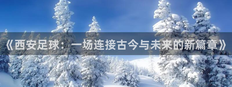  《西安足球：一场连接古今与未来的新篇章》