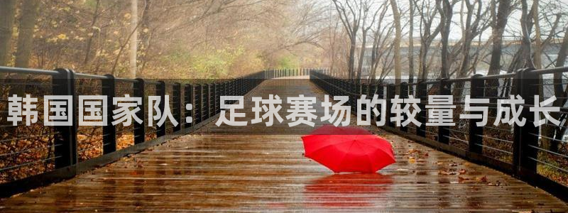  韩国国家队：足球赛场的较量与成长