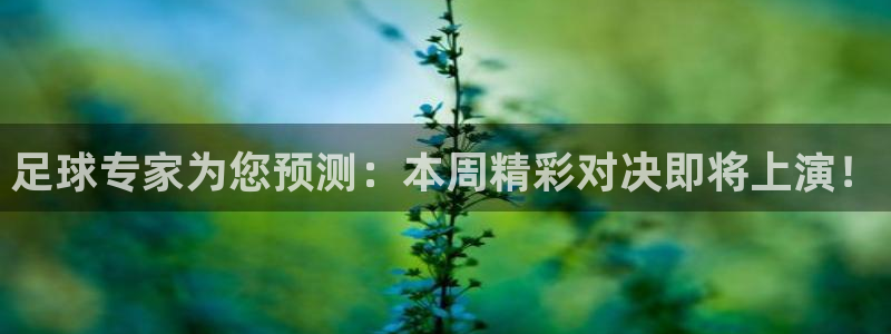  足球专家为您预测：本周精彩对决即将上演！