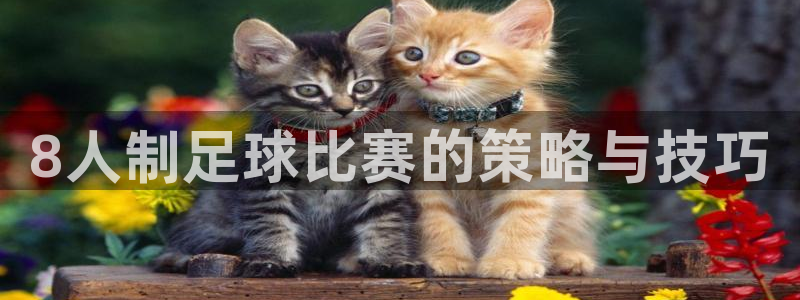  8人制足球比赛的策略与技巧