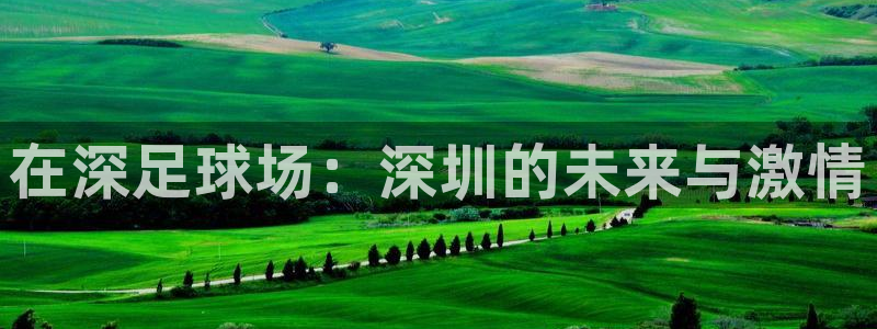  在深足球场：深圳的未来与激情