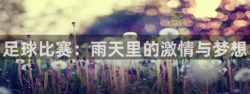 足球比赛：雨天里的激情与梦想