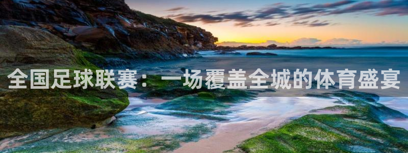  全国足球联赛：一场覆盖全城的体育盛宴