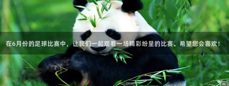  在6月份的足球比赛中，让我们一起观看一场精彩纷呈的比赛。希望