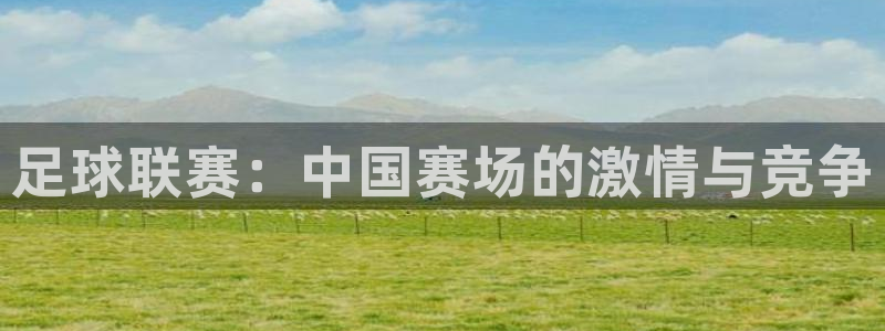 足球联赛：中国赛场的激情与竞争