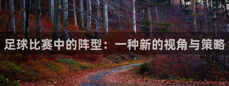  足球比赛中的阵型：一种新的视角与策略