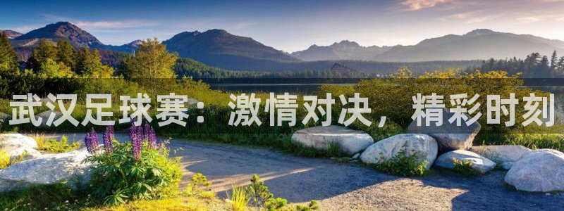  武汉足球赛：激情对决，精彩时刻