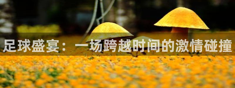 足球盛宴：一场跨越时间的激情碰撞