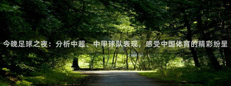 今晚足球之夜：分析中超、中甲球队表现，感受中国体育的精彩纷呈