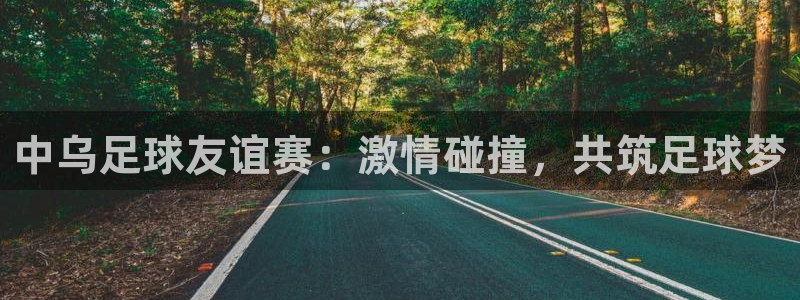 中乌足球友谊赛：激情碰撞，共筑足球梦