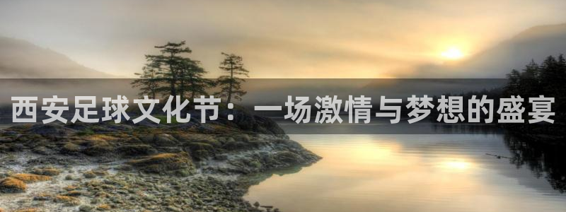 西安足球文化节：一场激情与梦想的盛宴