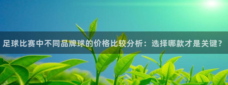 足球比赛中不同品牌球的价格比较分析：