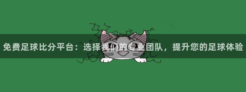免费足球比分平台：选择我们的专业团队