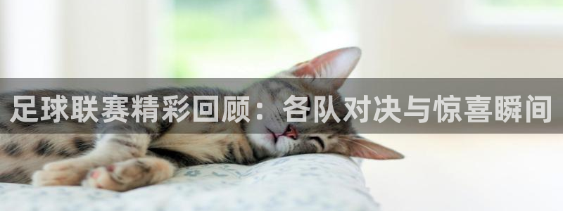 足球联赛精彩回顾：各队对决与惊喜瞬间