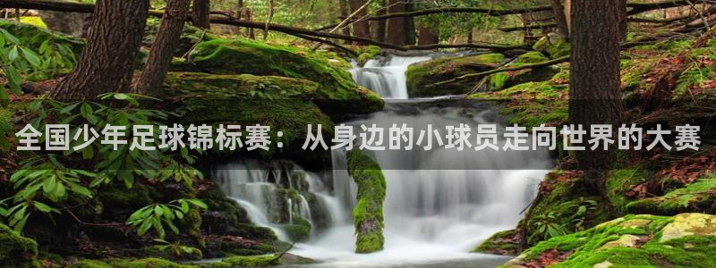 全国少年足球锦标赛：从身边的小球员走