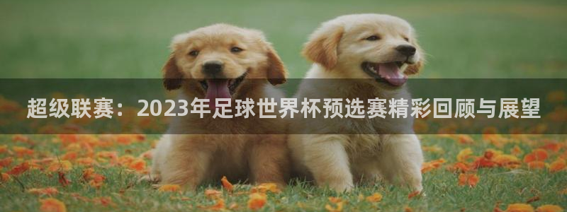 超级联赛：2023年足球世界杯预选赛